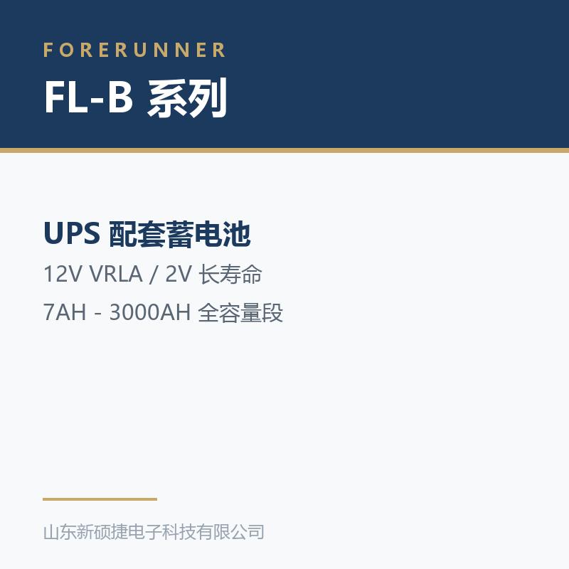 FL-B 系列 12V 阀控式铅酸蓄电池(淄博博山区UPS电源)