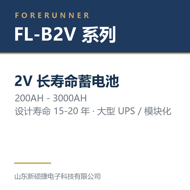 FL-B2V 系列 2V 长寿命蓄电池（淄博博山区UPS电源）